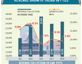 Revenue collection growth falls YoY in November